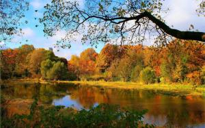 Beautiful autumn forest river landscape wallpaper thumb