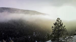 Mountains Landscape Trees Snow Winter Fog Mist HD wallpaper thumb