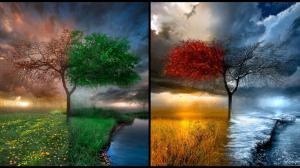 Lscapes Winter Trees Autumn Summer Spring Rainbows ! wallpaper thumb