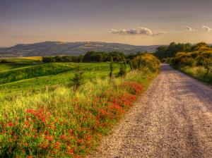 Italy, nature scenery, road, fields, trees, clouds, dusk wallpaper thumb