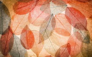 Autumn, transparent leaves, abstract, colorful wallpaper thumb
