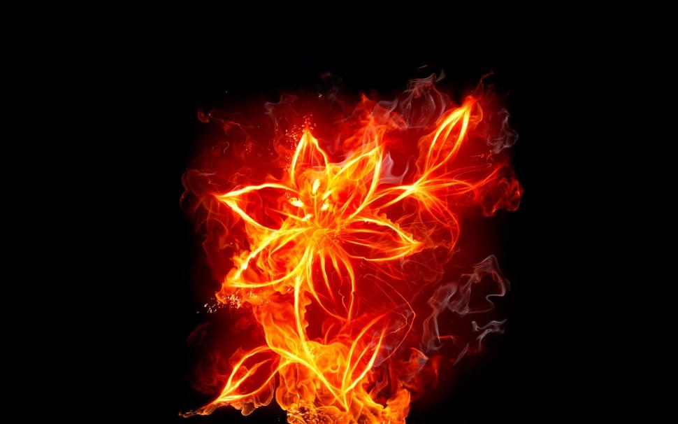 A fire flowers creative wallpaper,Fire HD wallpaper,Flowers HD wallpaper,Creative HD wallpaper,2560x1600 wallpaper