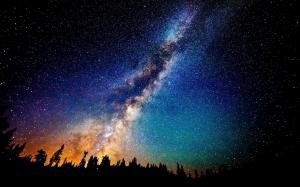 Milky Way above the fir forest wallpaper thumb
