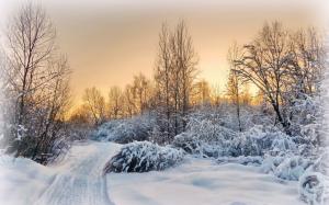 Evening, trees, road, sunset, winter, snow wallpaper thumb