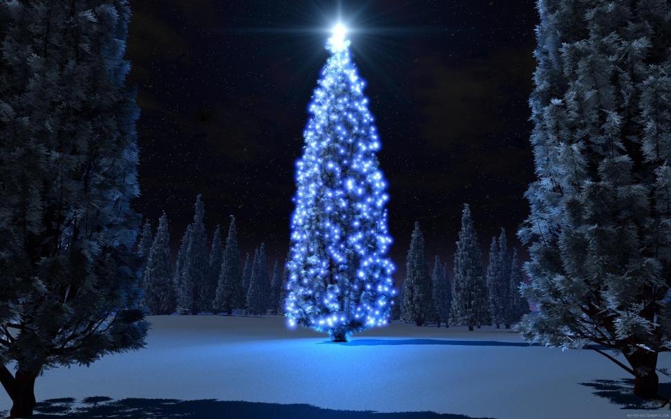 Blue christmas tree wallpaper,holidays HD wallpaper,christmas HD wallpaper,tree HD wallpaper,winter HD wallpaper,lights HD wallpaper,snow HD wallpaper,1920x1200 wallpaper
