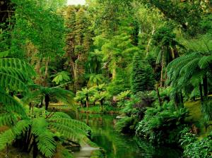 Portugal, gardens, tropical, forests, river, green wallpaper thumb