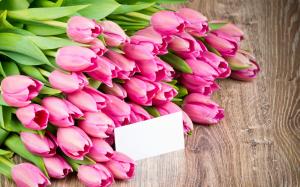 Pink flowers, tulips, bouquet wallpaper thumb
