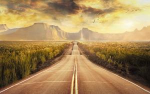 Road with birds landscape wallpaper thumb