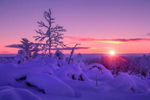 Winter sunset snow wallpaper thumb