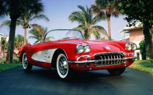 1960 chevrolet corvette, chevrolet corvette, chevrolet, convertible, red, palm wallpaper thumb