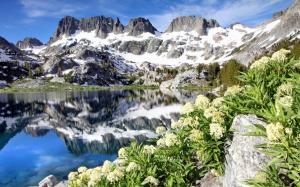 Ediza Lake, Ansel Adams Wilderness, California, USA, flowers, mountains wallpaper thumb