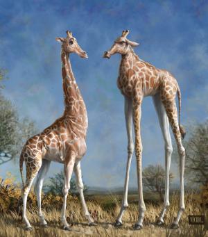 Giraffes, Nature, Animals wallpaper thumb