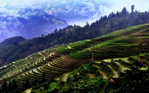 Jiaban Terraces, China Guizhou, mountains, trees, fields wallpaper thumb