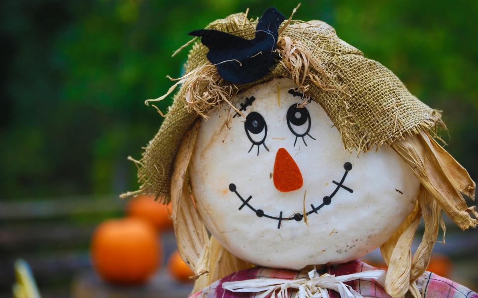 Smiling Scarecrow wallpaper,funny HD wallpaper,smiling HD wallpaper,scarecrow HD wallpaper,2560x1600 wallpaper
