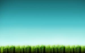 Grass Landscape  Picture Desktop wallpaper thumb
