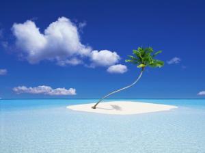 paradise beach, sea, water, blue sky, island, tree wallpaper thumb
