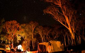 Stars Trees Camping Camp Fire Camp Night HD wallpaper thumb