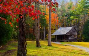 Park, house, trees, road, autumn wallpaper thumb