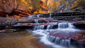 Small creek in Zion National Park wallpaper thumb