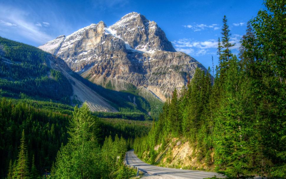Mountains, road, forest, Canada, Yoho National Park wallpaper,Mountains HD wallpaper,Road HD wallpaper,Forest HD wallpaper,Canada HD wallpaper,Yoho HD wallpaper,National HD wallpaper,Park HD wallpaper,2560x1600 wallpaper