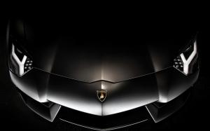 Lamborghini, Cool, Car, Famous Brand, Logo wallpaper thumb