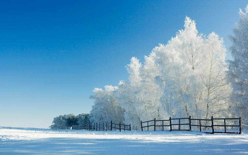 Fence Snow Winter Trees HD wallpaper,nature HD wallpaper,trees HD wallpaper,snow HD wallpaper,winter HD wallpaper,fence HD wallpaper,2560x1600 wallpaper