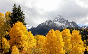 Yellow trees in mountains wallpaper thumb
