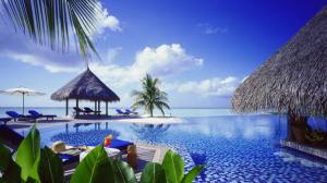 Resort, sea, palm trees, pool wallpaper thumb