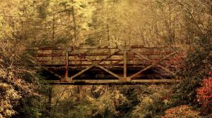 Bridge in Fall forest wallpaper thumb