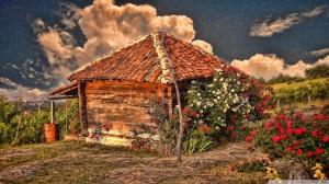 Hut With Roses wallpaper thumb