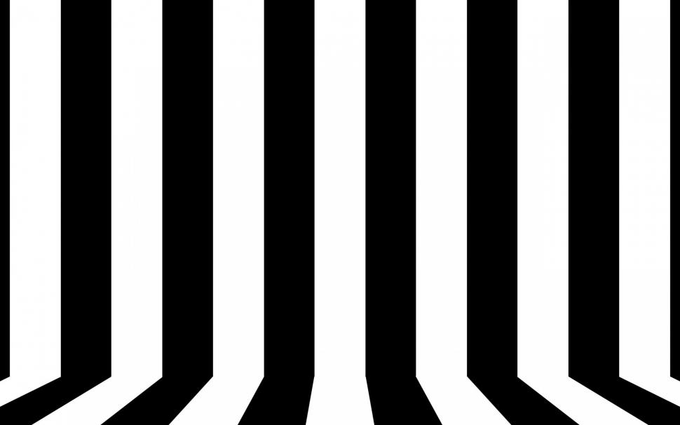 Black and white lines wallpaper | vector and designs | Wallpaper Better