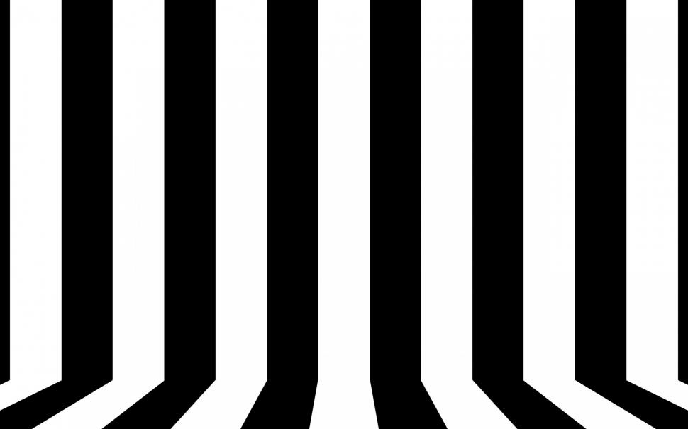 Black and white lines wallpaper,  HD wallpaper,line HD wallpaper,stripe HD wallpaper,vector HD wallpaper,2560x1600 HD wallpaper,4k pics HD wallpaper,2880x1800 wallpaper