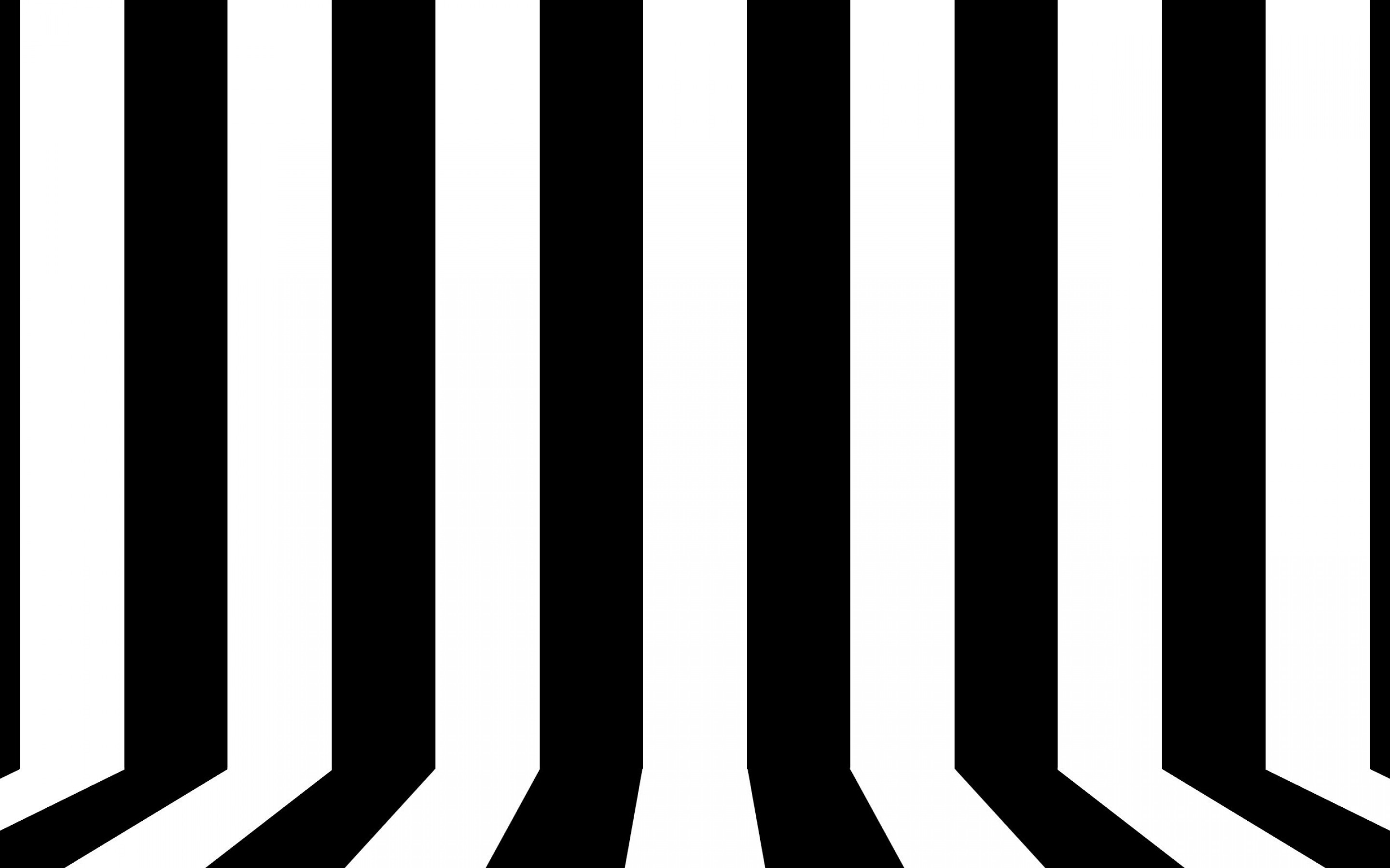 Black and white lines wallpaper | vector and designs | Wallpaper Better