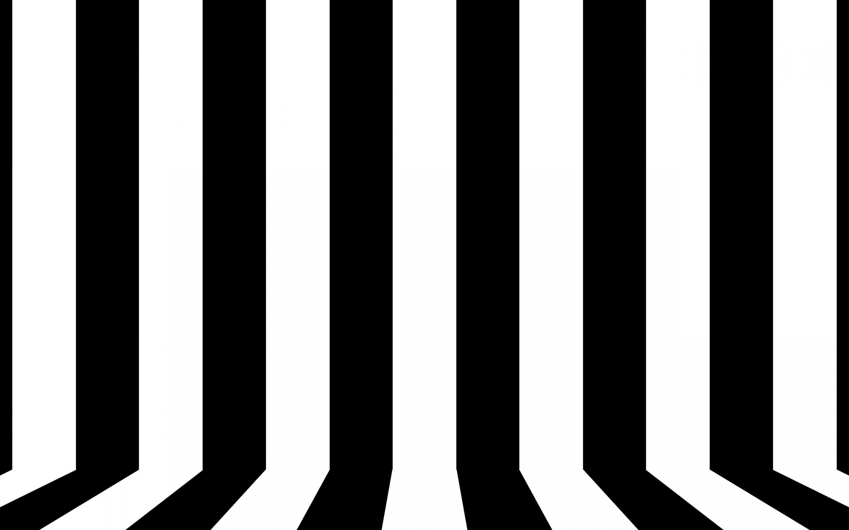  Black  and white  lines  wallpaper  vector and designs 