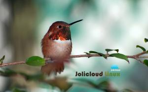 Jolicloud Linux Hummingbird wallpaper thumb