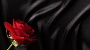 Red rose on black silk wallpaper thumb