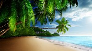 Tropical, paradise, sun, sand, coast, ocean, blue sky, desktop wallpaper thumb