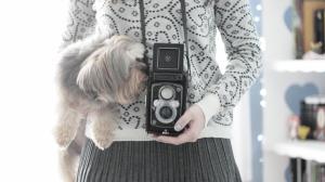 Dog Camera wallpaper thumb