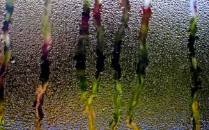 Rain Glass Window Water Drops Streams HD Background wallpaper thumb
