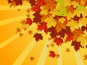 Colorful autumn wallpaper thumb