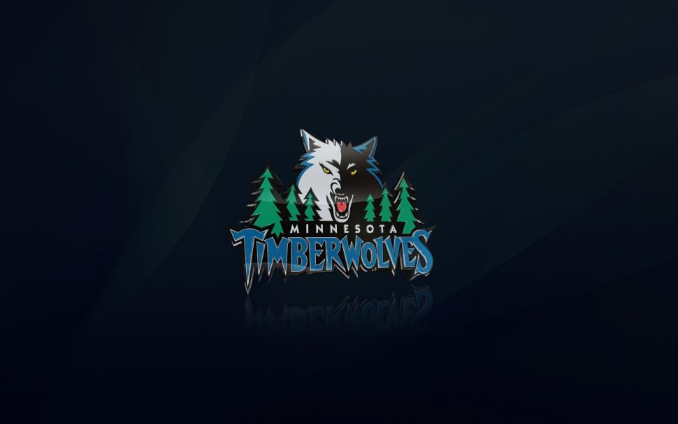 Minnesota Timberwolves Logo wallpaper,Minnesota Timberwolves HD wallpaper,2560x1600 wallpaper