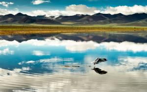 China, Tibet, mountains, clouds, lake, bird, flight wallpaper thumb