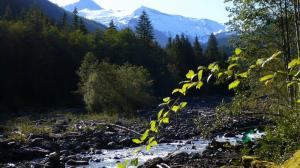 glacier creek and mount baker forest mountain stream Trees Washington Water widescreen HD wallpaper thumb