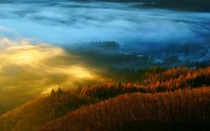 Forest, nature, trees, autumn, mist, morning wallpaper thumb