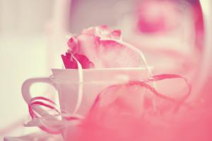 cup, mug, petals wallpaper thumb