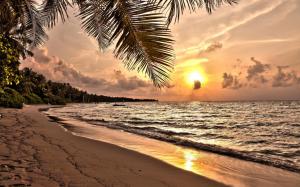 sunset on a tropical beach wallpaper thumb
