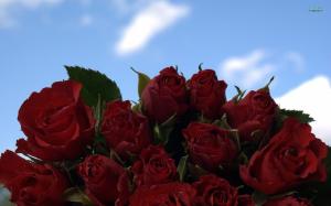 ~ruby Roses Bouquet~ wallpaper thumb