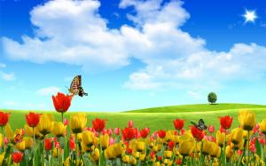 Butterfly on Tulip wallpaper thumb