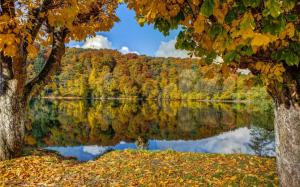 Autumn forest by the lake wallpaper thumb