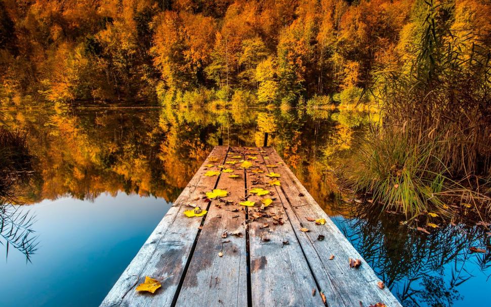 Nature, Landscape, Trees, Pier, Wooden, Surface, Forest, Water, Lake, Reflection, Fall, Leaves wallpaper,nature HD wallpaper,landscape HD wallpaper,trees HD wallpaper,pier HD wallpaper,wooden HD wallpaper,surface HD wallpaper,forest HD wallpaper,water HD wallpaper,lake HD wallpaper,reflection HD wallpaper,1920x1200 wallpaper